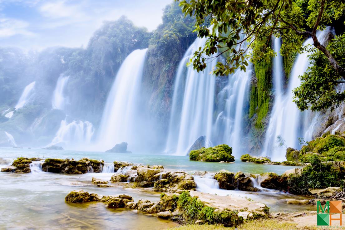  Tranh dán tường Hàn Quốc vừa đẹp vừa lạ