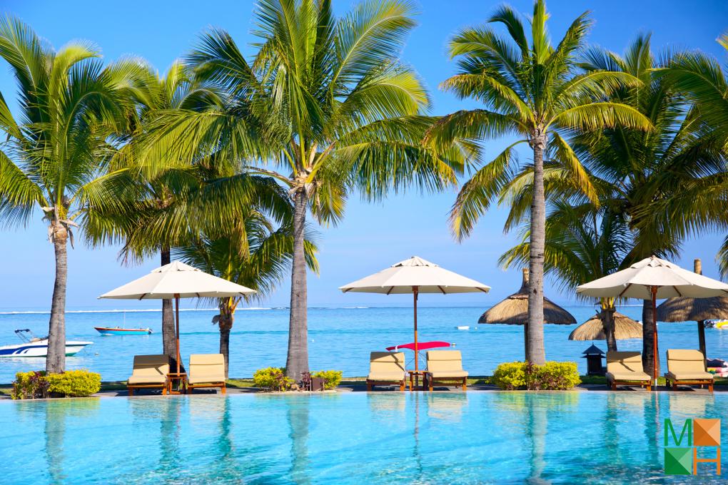  Tranh dán tường Hàn Quốc vừa đẹp vừa lạ